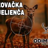 Poľovačka na jelienča