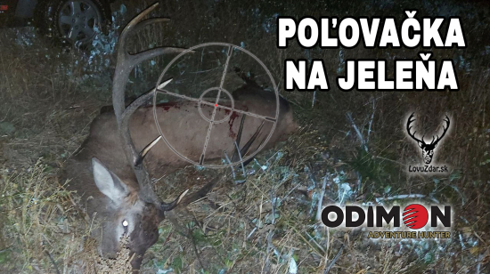Poľovačka na jeleňa