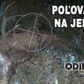 Poľovačka na jeleňa
