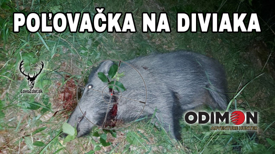 Poľovačka na diviaka