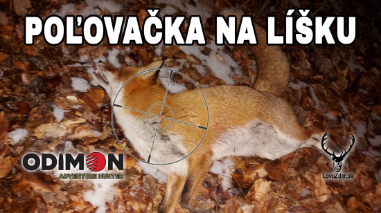 Poľovačka na líšku