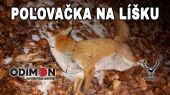 Poľovačka na líšku