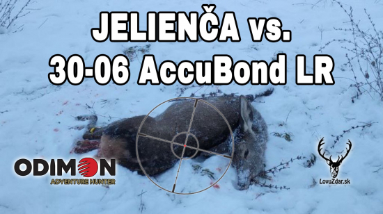 Jelienča vs 30-06 AccuBond LR