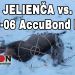 Jelienča vs 30-06 AccuBond LR