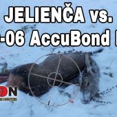 Jelienča vs 30-06 AccuBond LR