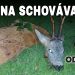Hra na schovávačku