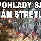 Pohľady sa nám stretli