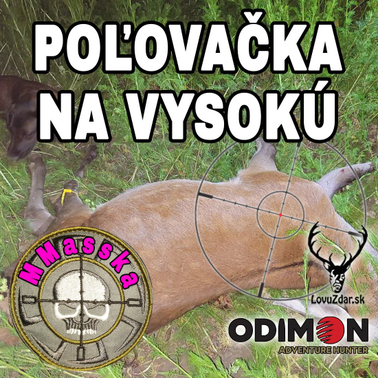 Poľovačkana vysokú