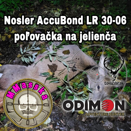 Nosler AccuBondLR 30-06 poľovačka na jelienča