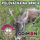 Poľovačka na srnca 6,5 creedmoor hornady eld-x hunter 143gr