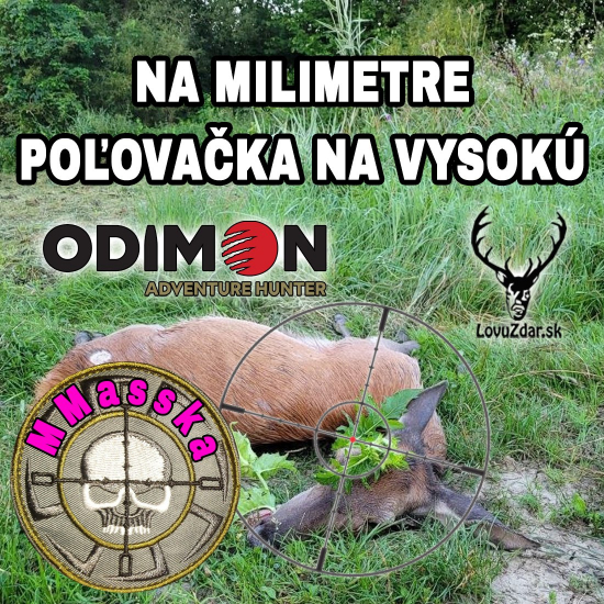 Poľovačkana vysokú