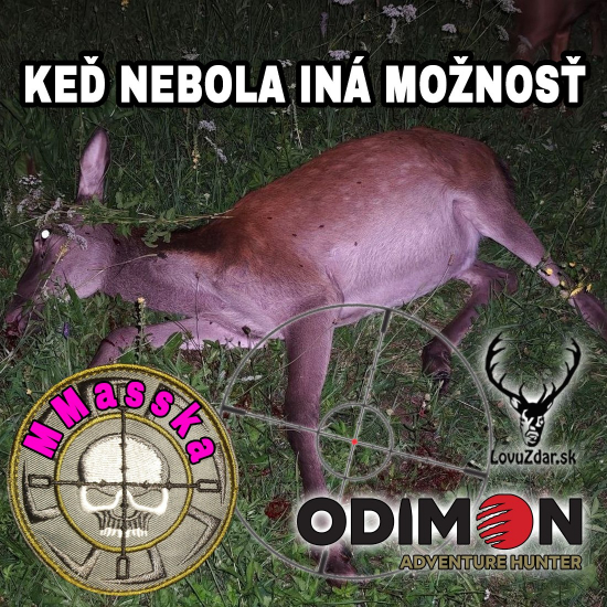 Keď nebola iná možnosť