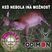 Keď nebola iná možnosť