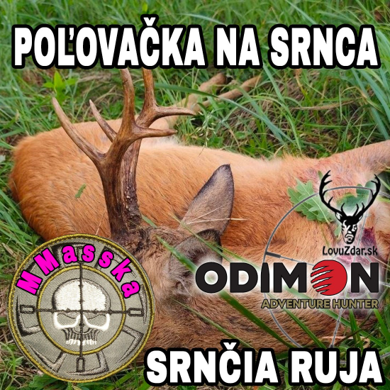 Poľovačka na srnca-srnčia ruja