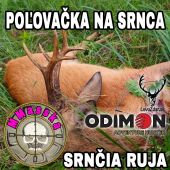 Poľovačka na srnca-srnčia ruja