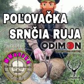 Poľovačka- srnčia ruja
