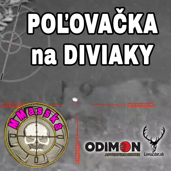 Poľovačka na diviaky