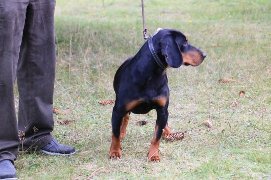 momentky s prveho roka