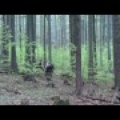 Bíizke stretnutie