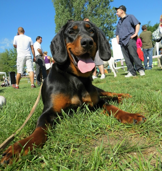 Taša  skúška odvahy