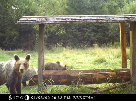 balockí mackovia 02