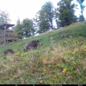 Smer hoľa