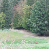 ŘÍJE 2016