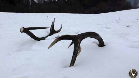 Nájdenie bronzového 10 toráka