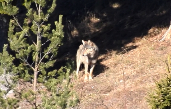 Dnešné stretnutie.