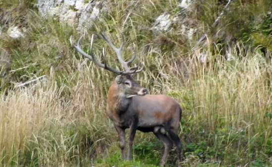 Tušil že mu nič nehrozí.