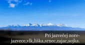Pri jazvečej nore.