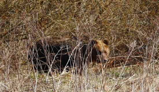 Maco-dnešné stretnutie-17.4.2025.