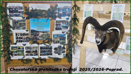 Chovateľská prehliadka trofejí 2025/2026-Poprad.(Hranovnica).