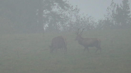 Dnešné ráno na Harmaniku