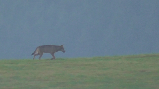 Ked´sa darí...Môj tretí.