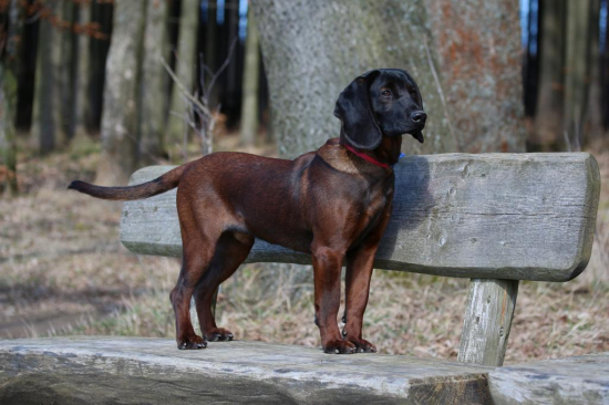 Zoranov syn, a jeho radosť z vody