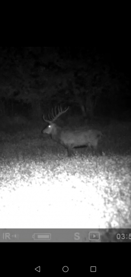 Keď prichádza KRÁĽ