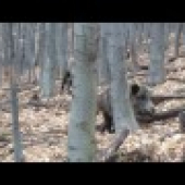 Keď sa srdiečko na chvíľku zastaví :-D