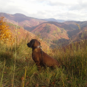 Pohorie Žiar a Malá Fatra
