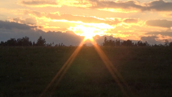 Bitka pre jednu jeleničku