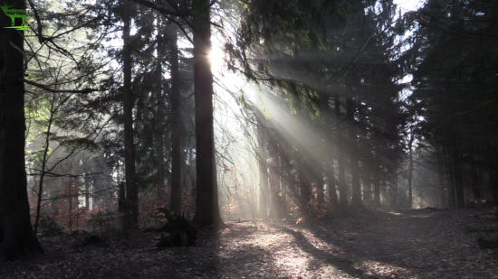 Krásy prírody - Jar BEAUTY OF THE NATURE - SPRING