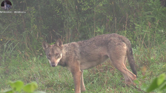 Výber z mojich videí