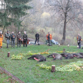 Spoločná poľovačka-Púchov