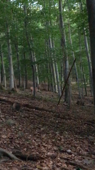 privábený 14 torak