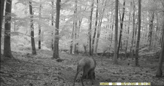 16torak prisiel na sol