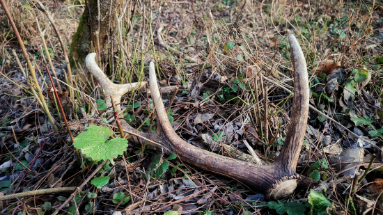 Ukončenie sezóny 2022