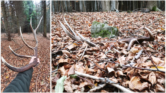 O pár metrov ďalší