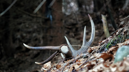 Čerstvý 14torak ako z učebnice