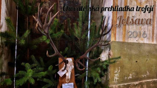 Chovateľská prehliadka trofejí Jelšava