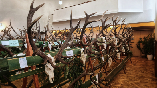 Poľovnícka výstava OPK BB